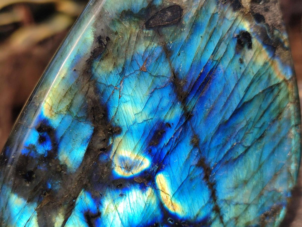 Polished Labradorite Standing Display Pieces x 3 From Madagascar - Toprock Gemstones and Minerals 