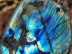 Polished Labradorite Standing Display Pieces x 3 From Madagascar - Toprock Gemstones and Minerals 