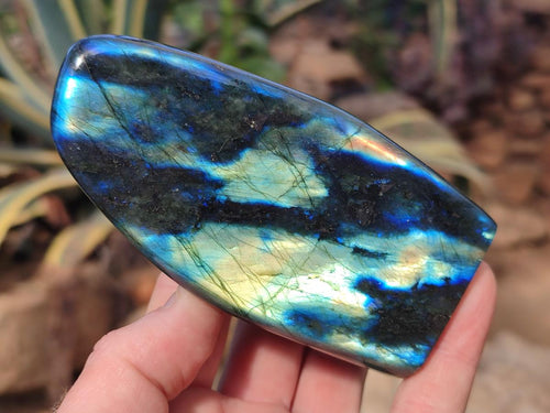 Polished Labradorite Standing Display Pieces x 3 From Madagascar - Toprock Gemstones and Minerals 