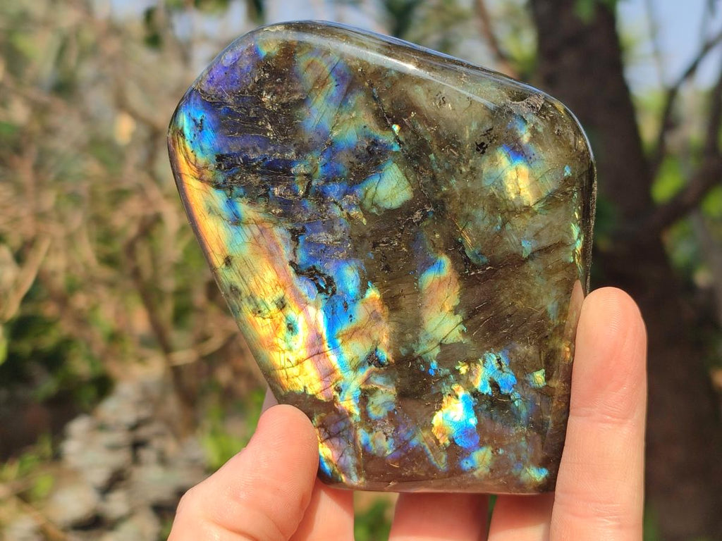 Polished Labradorite Standing Display Pieces x 3 From Madagascar - Toprock Gemstones and Minerals 