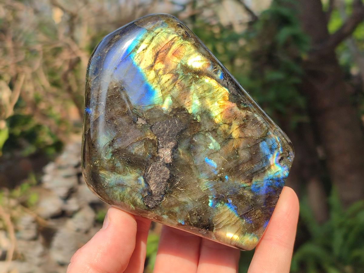 Polished Labradorite Standing Display Pieces x 3 From Madagascar - Toprock Gemstones and Minerals 
