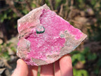 Natural Salrose Cobaltoan Dolomite Specimens with Associated Minerals x 4 From Kakanda, Congo - Toprock Gemstones and Minerals 