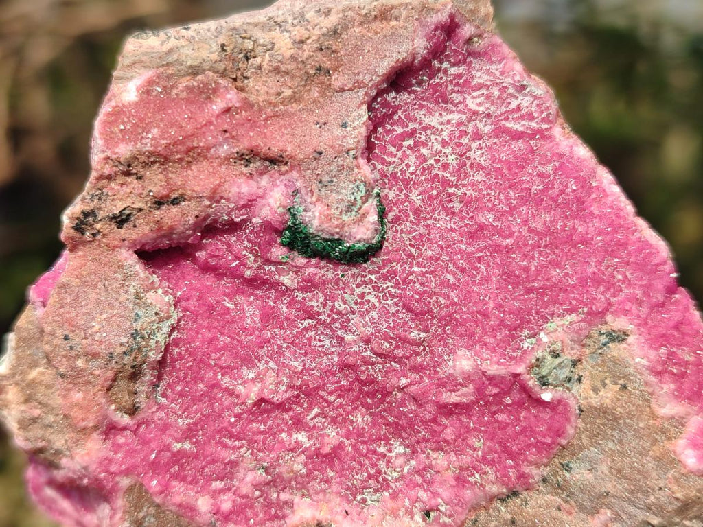 Natural Salrose Cobaltoan Dolomite Specimens with Associated Minerals x 4 From Kakanda, Congo - Toprock Gemstones and Minerals 