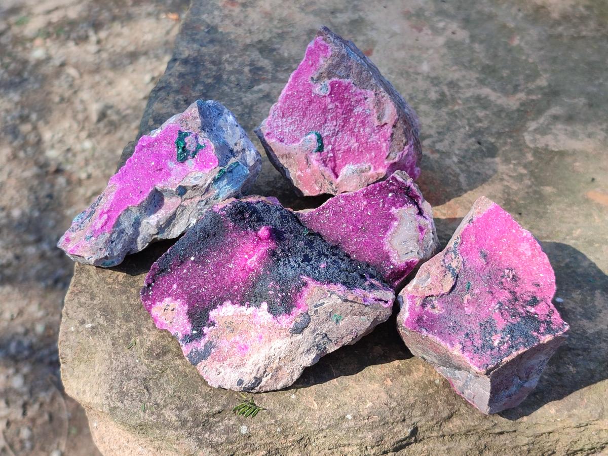 Natural Salrose Cobaltoan Dolomite Specimens with Associated Minerals x 4 From Kakanda, Congo - Toprock Gemstones and Minerals 