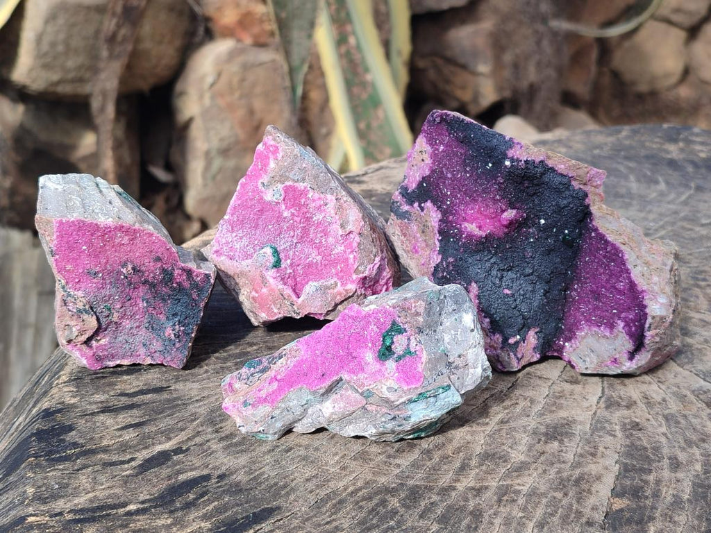 Natural Salrose Cobaltoan Dolomite Specimens with Associated Minerals x 4 From Kakanda, Congo - Toprock Gemstones and Minerals 