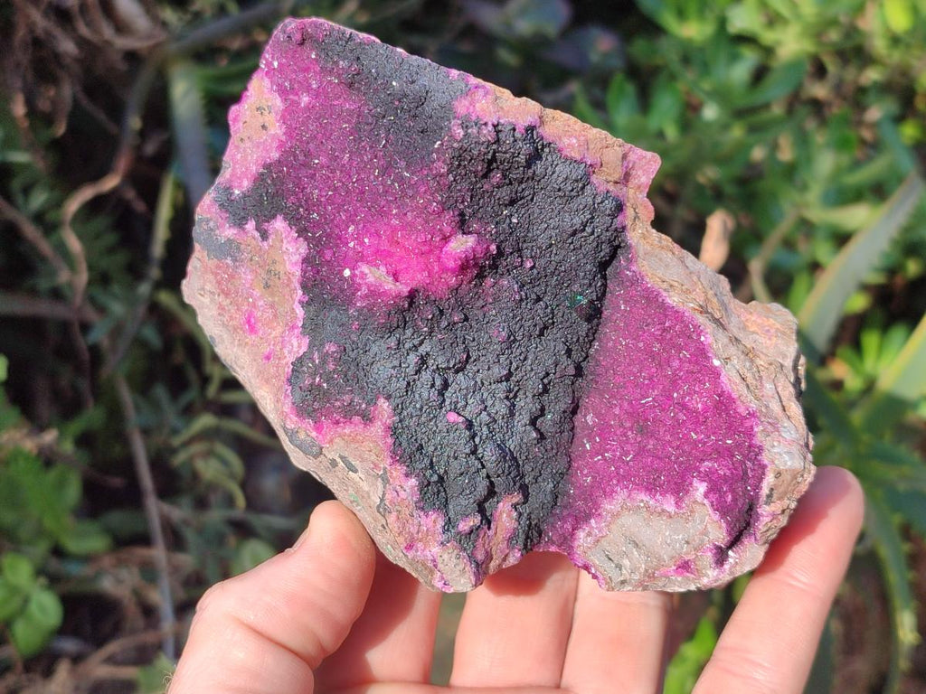 Natural Salrose Cobaltoan Dolomite Specimens with Associated Minerals x 4 From Kakanda, Congo - Toprock Gemstones and Minerals 