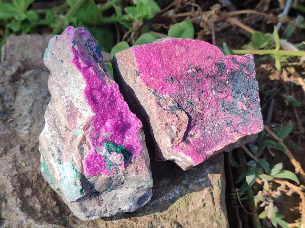 Natural Salrose Cobaltoan Dolomite Specimens with Associated Minerals x 4 From Kakanda, Congo - Toprock Gemstones and Minerals 