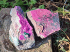 Natural Salrose Cobaltoan Dolomite Specimens with Associated Minerals x 4 From Kakanda, Congo - Toprock Gemstones and Minerals 