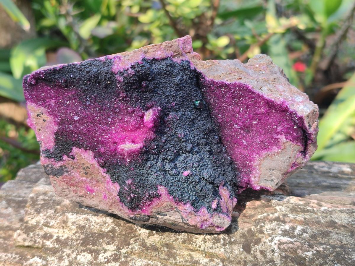 Natural Salrose Cobaltoan Dolomite Specimens with Associated Minerals x 4 From Kakanda, Congo - Toprock Gemstones and Minerals 