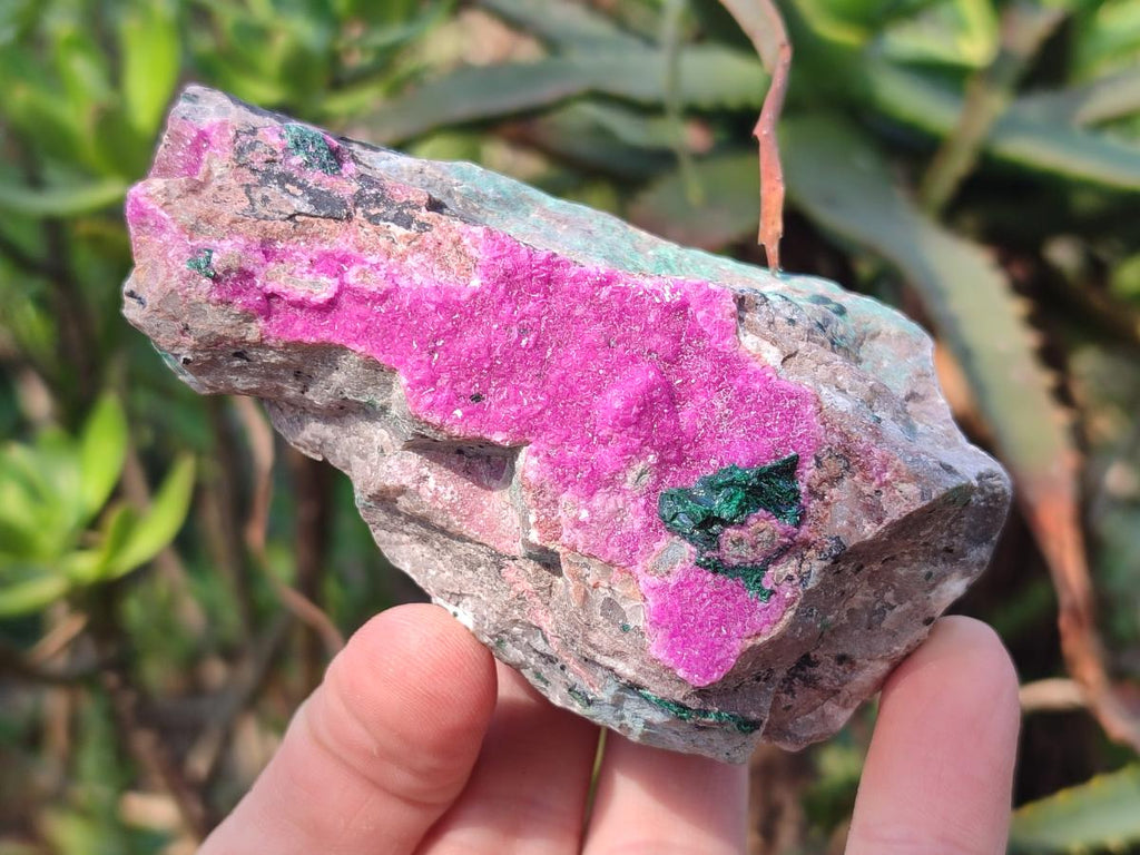 Natural Salrose Cobaltoan Dolomite Specimens with Associated Minerals x 4 From Kakanda, Congo - Toprock Gemstones and Minerals 