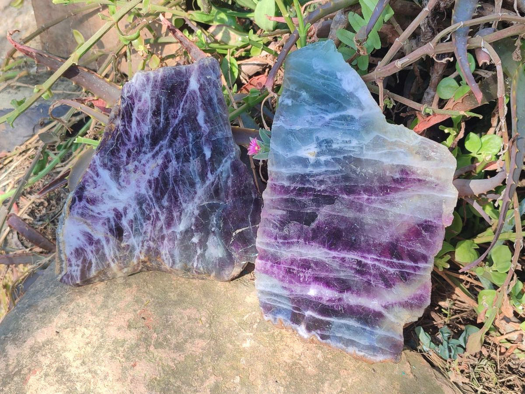 Polished and Natural Watermelon Fluorite Slices x 2 From Uis, Namibia - Toprock Gemstones and Minerals 