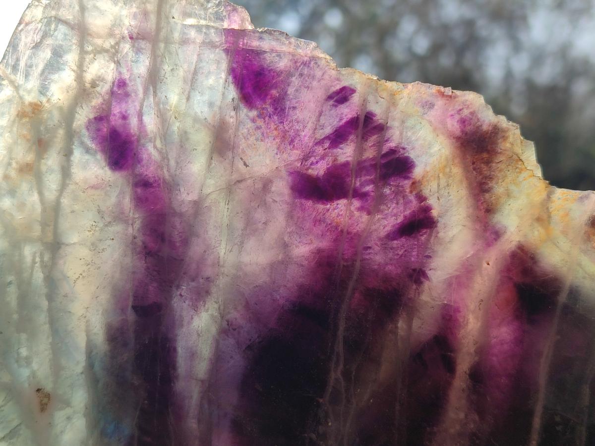 Polished and Natural Watermelon Fluorite Slices x 2 From Uis, Namibia - Toprock Gemstones and Minerals 