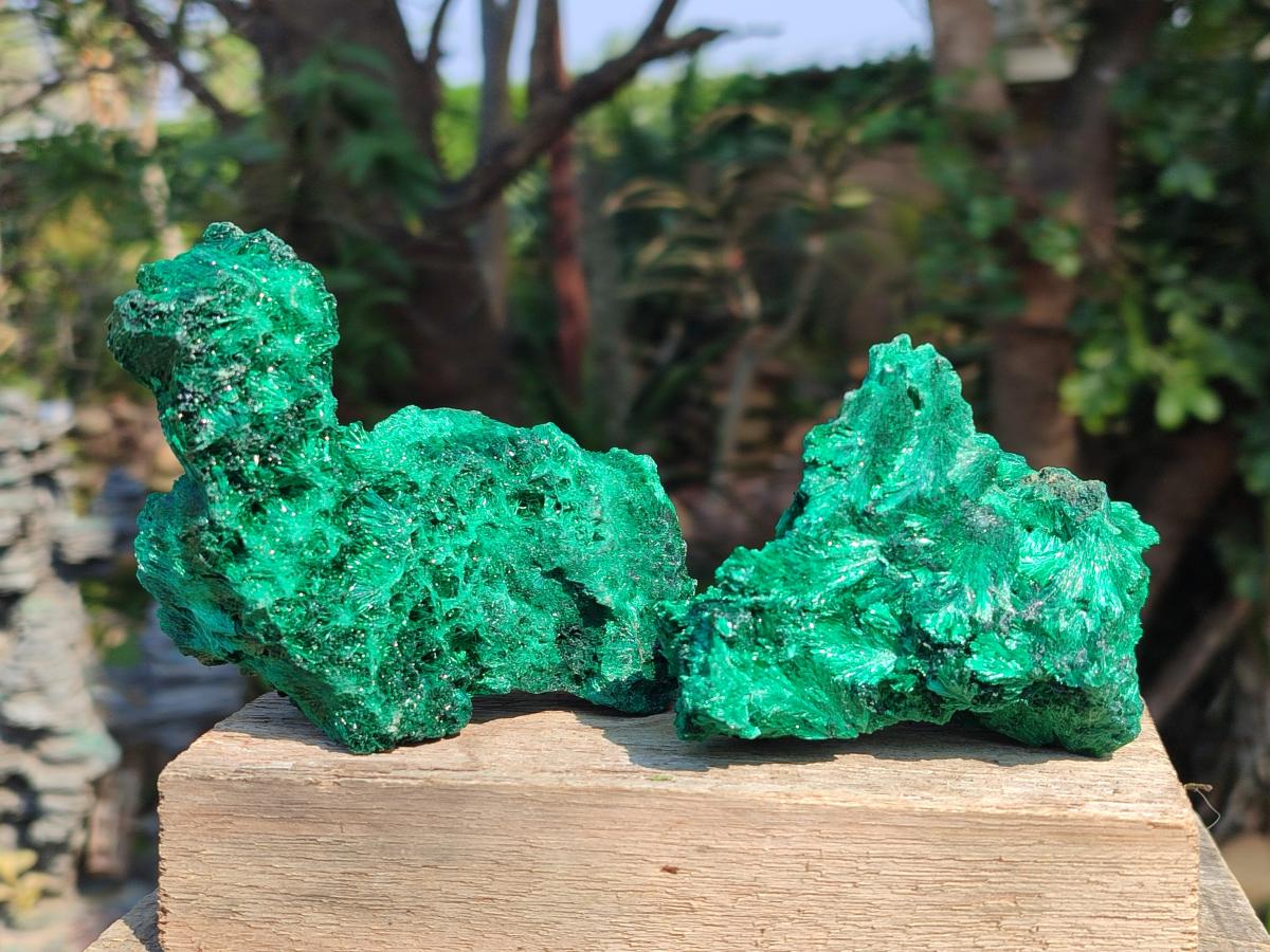 Natural Silky Malachite Specimens x 6 From Kasompe, Congo - Toprock Gemstones and Minerals 