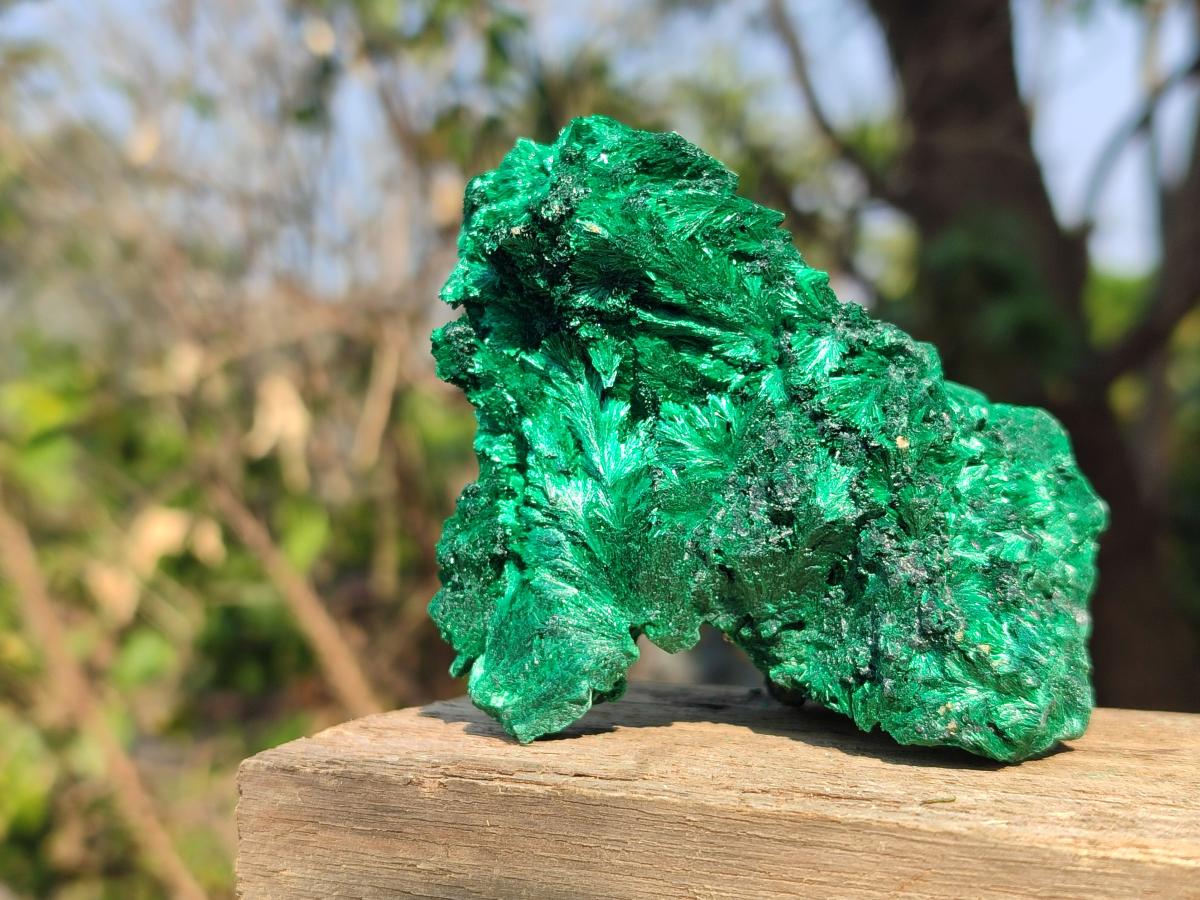 Natural Silky Malachite Specimens x 6 From Kasompe, Congo - Toprock Gemstones and Minerals 