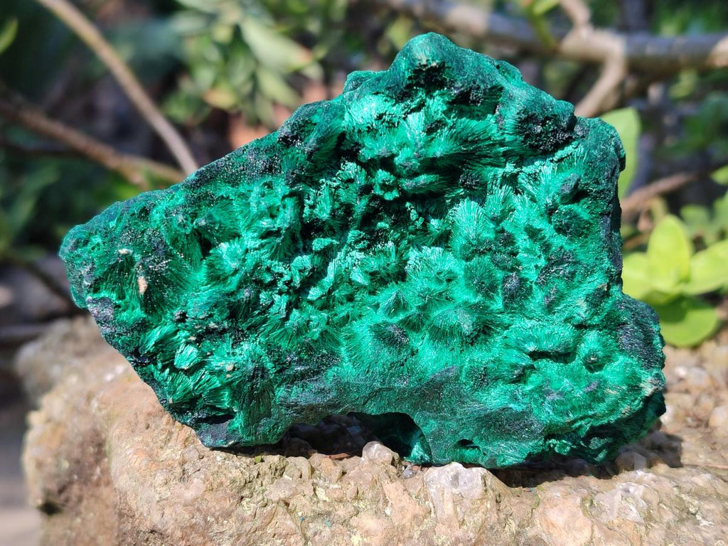Natural Silky Malachite Specimens x 6 From Kasompe, Congo - Toprock Gemstones and Minerals 
