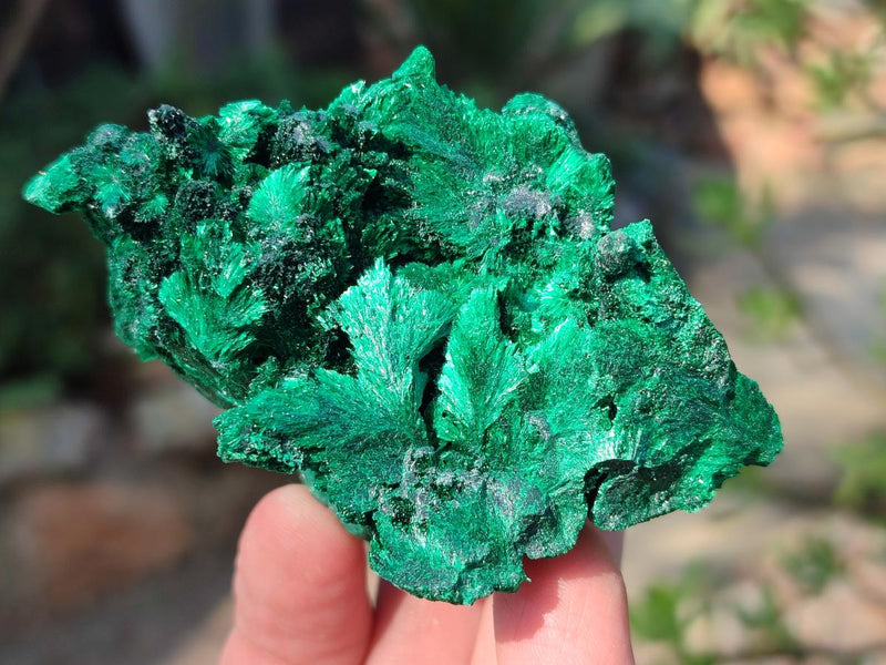 Natural Silky Malachite Specimens x 6 From Kasompe, Congo - Toprock Gemstones and Minerals 