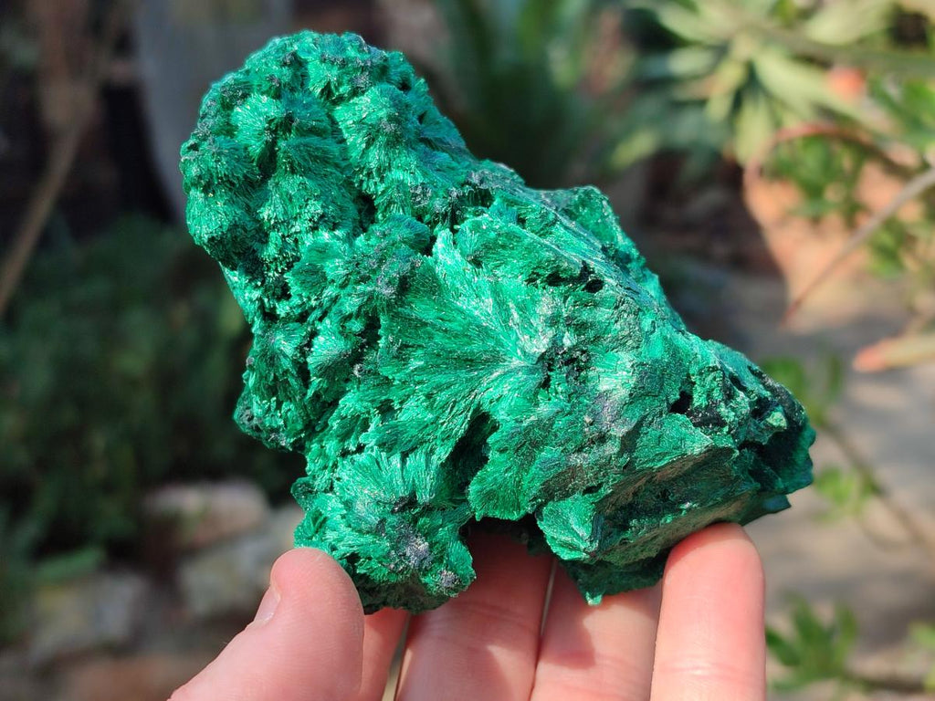Natural Silky Malachite Specimens x 6 From Kasompe, Congo - Toprock Gemstones and Minerals 