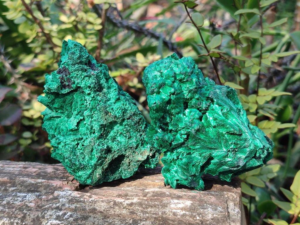 Natural Silky Malachite Specimens x 6 From Kasompe, Congo - Toprock Gemstones and Minerals 