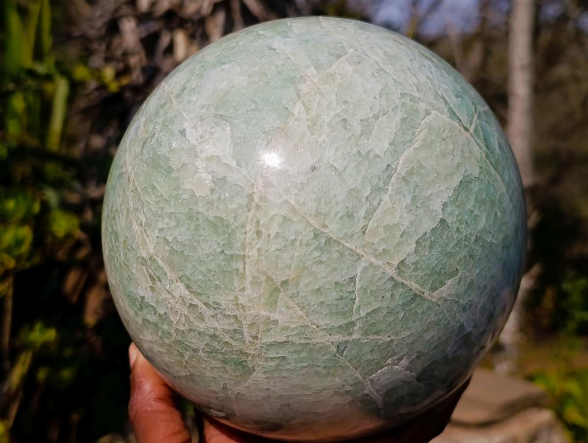 Polished XL Amazonite Sphere x 1 From South Africa - Toprock Gemstones and Minerals 