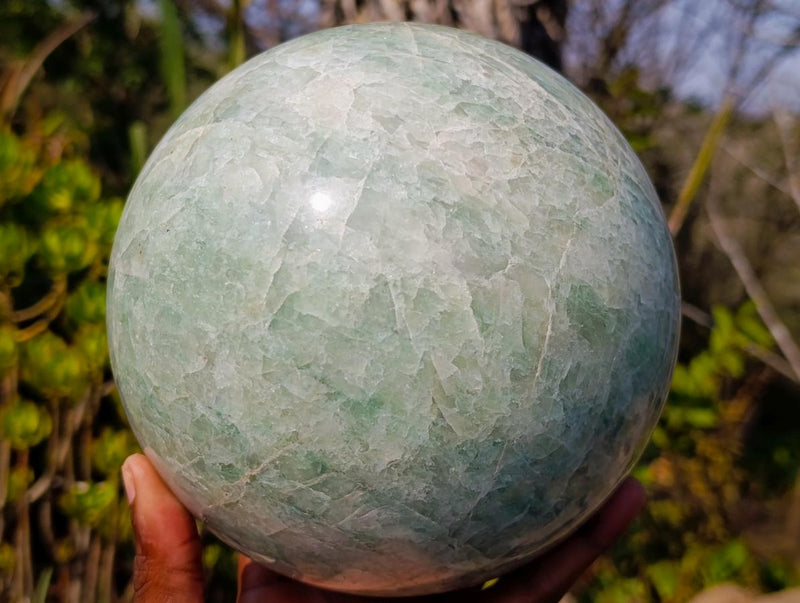 Polished XL Amazonite Sphere x 1 From South Africa - Toprock Gemstones and Minerals 