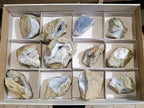 Natural Blue Lace Agate Geode Specimens x 12 From Nsanje, Malawi - Toprock Gemstones and Minerals 