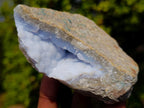 Natural Blue Lace Agate Geode Specimens x 12 From Nsanje, Malawi - Toprock Gemstones and Minerals 