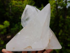 Polished Girasol Quartz Crystals x 2 From Ambatondrazaka, Madagascar - Toprock Gemstones and Minerals 