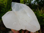Polished Girasol Quartz Crystals x 2 From Ambatondrazaka, Madagascar - Toprock Gemstones and Minerals 