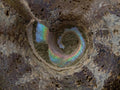 Polished and Natural Mixed Ammonite Fossils x 5 From Tulear, Madagascar - Toprock Gemstones and Minerals 