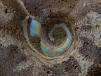 Polished and Natural Mixed Ammonite Fossils x 5 From Tulear, Madagascar - Toprock Gemstones and Minerals 