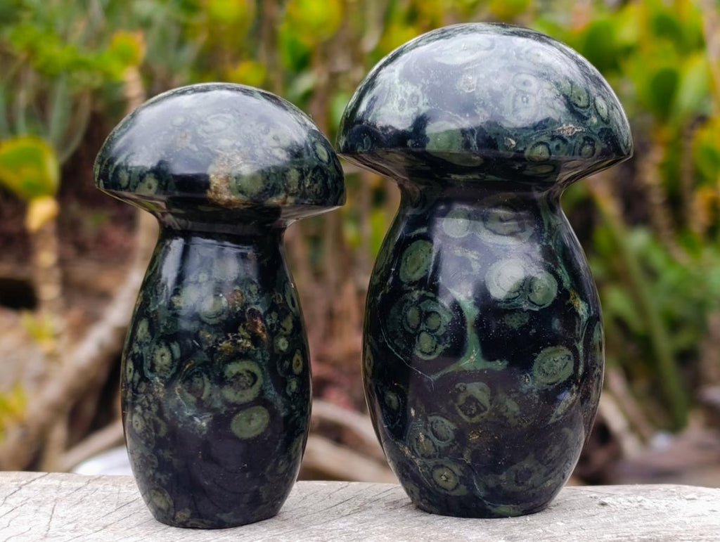 Polished Stromatolite "Kambamba Jasper" Mushrooms x 6 From Katsepy, Madagascar - Toprock Gemstones and Minerals 