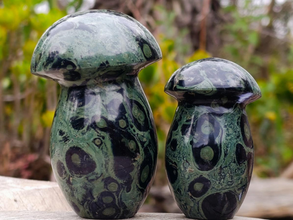 Polished Stromatolite "Kambamba Jasper" Mushrooms x 6 From Katsepy, Madagascar - Toprock Gemstones and Minerals 