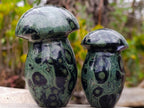 Polished Stromatolite "Kambamba Jasper" Mushrooms x 6 From Katsepy, Madagascar - Toprock Gemstones and Minerals 