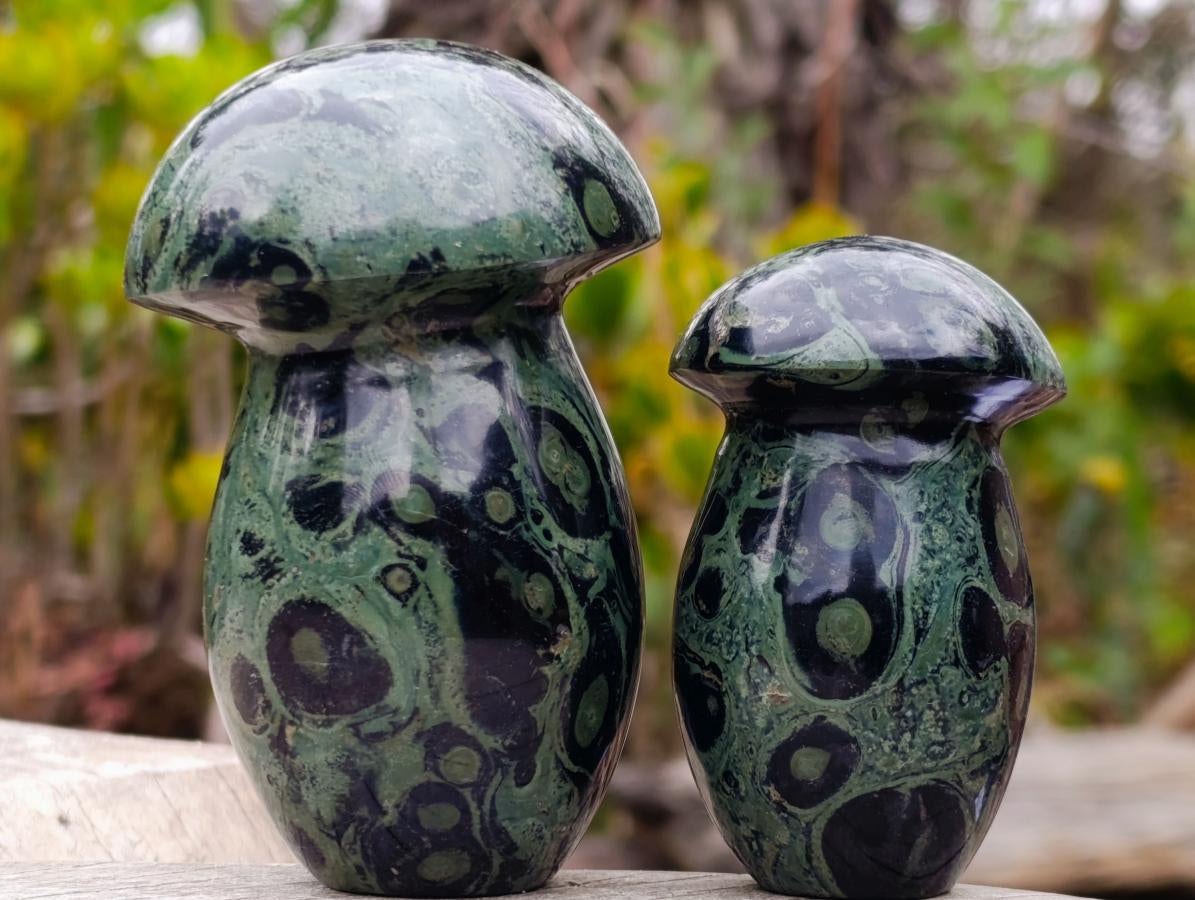 Polished Stromatolite "Kambamba Jasper" Mushrooms x 6 From Katsepy, Madagascar - Toprock Gemstones and Minerals 
