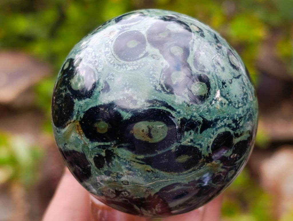 Polished Stromatolite "Kambamba Jasper" Mushrooms x 6 From Katsepy, Madagascar - Toprock Gemstones and Minerals 