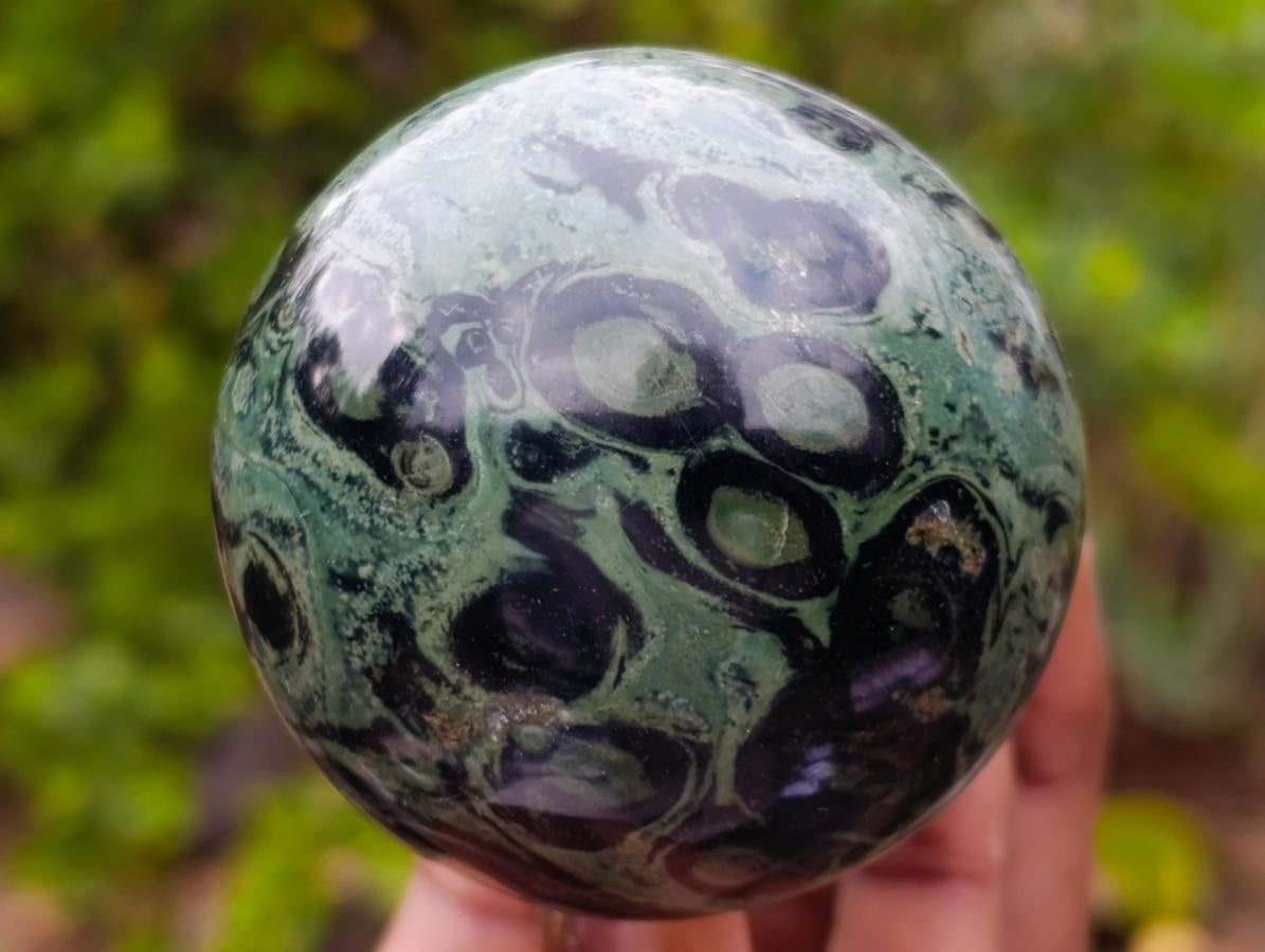 Polished Stromatolite "Kambamba Jasper" Mushrooms x 6 From Katsepy, Madagascar - Toprock Gemstones and Minerals 
