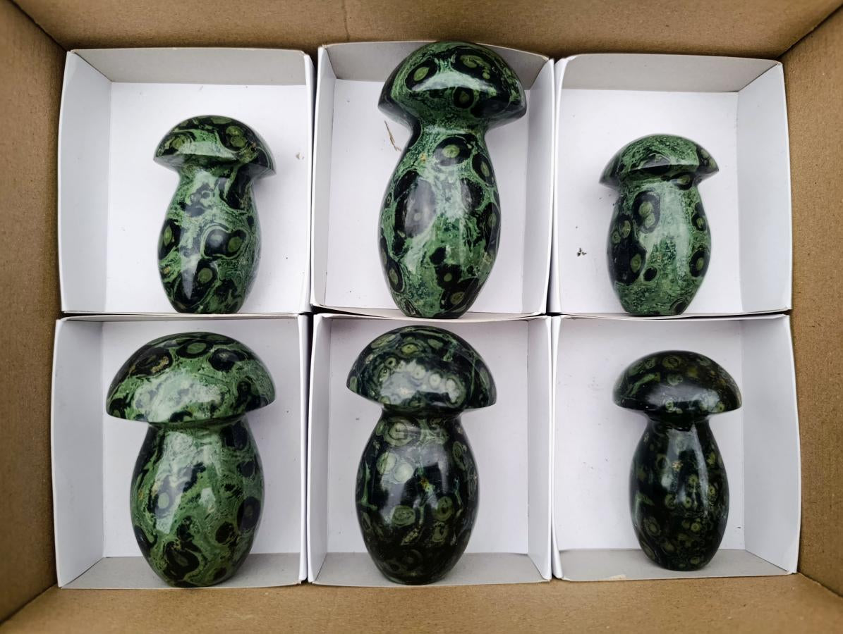 Polished Stromatolite "Kambamba Jasper" Mushrooms x 6 From Katsepy, Madagascar - Toprock Gemstones and Minerals 