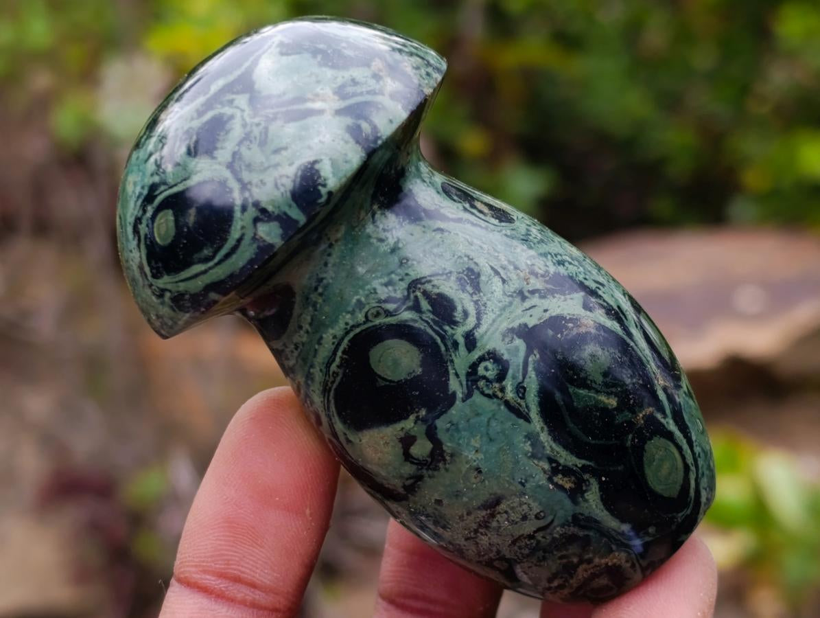 Polished Stromatolite "Kambamba Jasper" Mushrooms x 6 From Katsepy, Madagascar - Toprock Gemstones and Minerals 