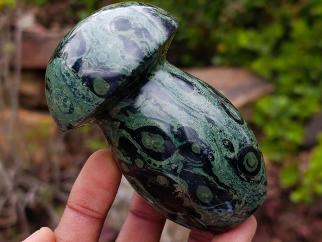 Polished Stromatolite "Kambamba Jasper" Mushrooms x 6 From Katsepy, Madagascar - Toprock Gemstones and Minerals 