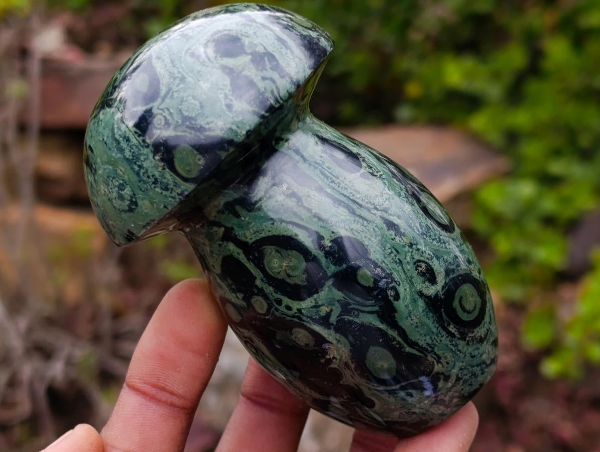 Polished Stromatolite "Kambamba Jasper" Mushrooms x 6 From Katsepy, Madagascar - Toprock Gemstones and Minerals 