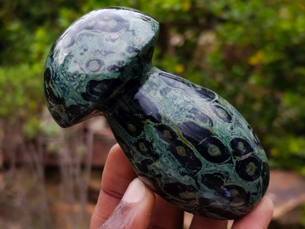 Polished Stromatolite "Kambamba Jasper" Mushrooms x 6 From Katsepy, Madagascar - Toprock Gemstones and Minerals 