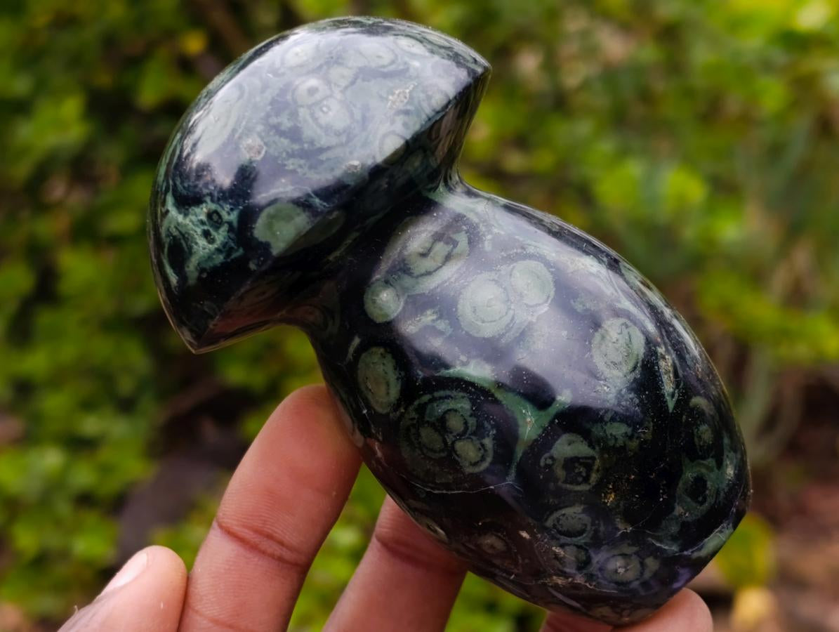 Polished Stromatolite "Kambamba Jasper" Mushrooms x 6 From Katsepy, Madagascar - Toprock Gemstones and Minerals 