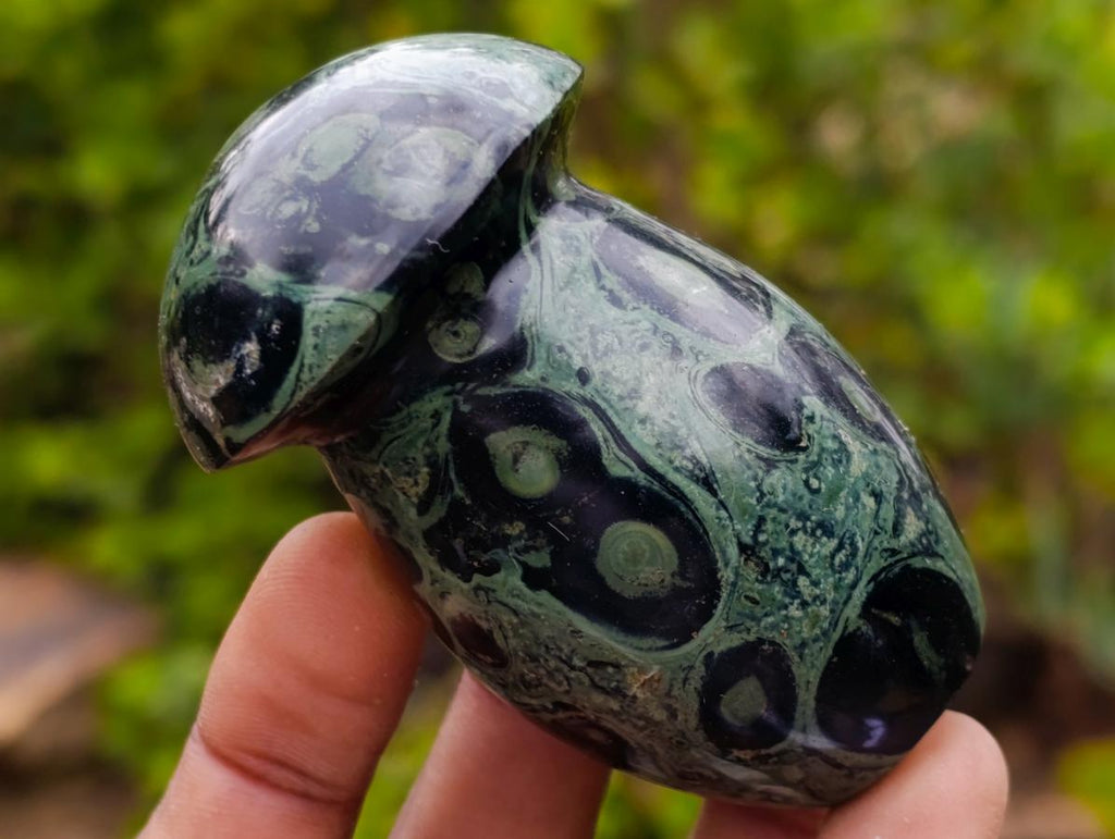 Polished Stromatolite "Kambamba Jasper" Mushrooms x 6 From Katsepy, Madagascar - Toprock Gemstones and Minerals 