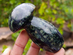 Polished Stromatolite "Kambamba Jasper" Mushrooms x 6 From Katsepy, Madagascar - Toprock Gemstones and Minerals 