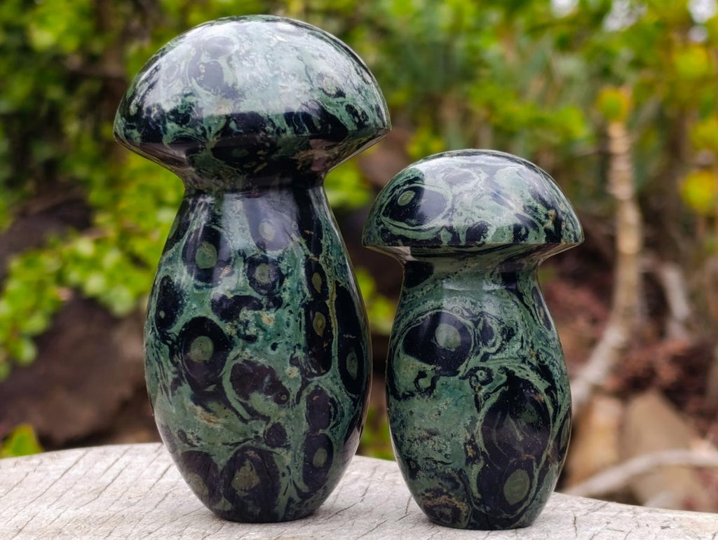 Polished Stromatolite "Kambamba Jasper" Mushrooms x 6 From Katsepy, Madagascar - Toprock Gemstones and Minerals 