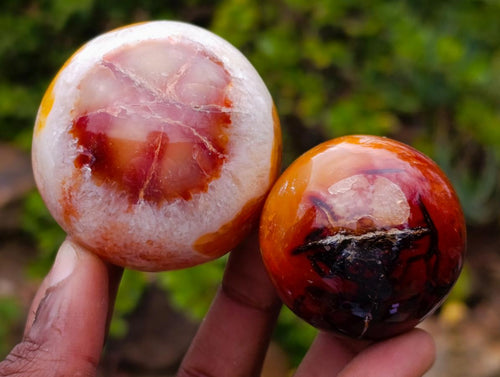 Polished Carnelian Agate Gemstone Spheres x 6 From Madagascar - Toprock Gemstones and Minerals 