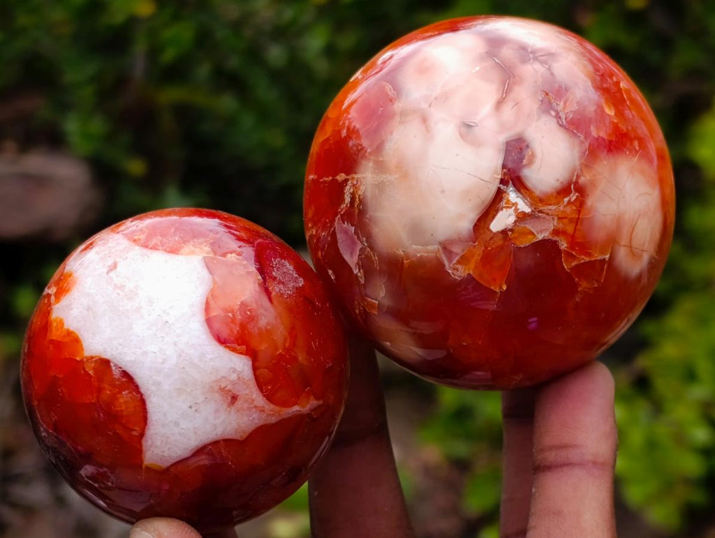 Polished Carnelian Agate Gemstone Spheres x 6 From Madagascar - Toprock Gemstones and Minerals 