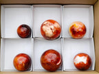 Polished Carnelian Agate Gemstone Spheres x 6 From Madagascar - Toprock Gemstones and Minerals 