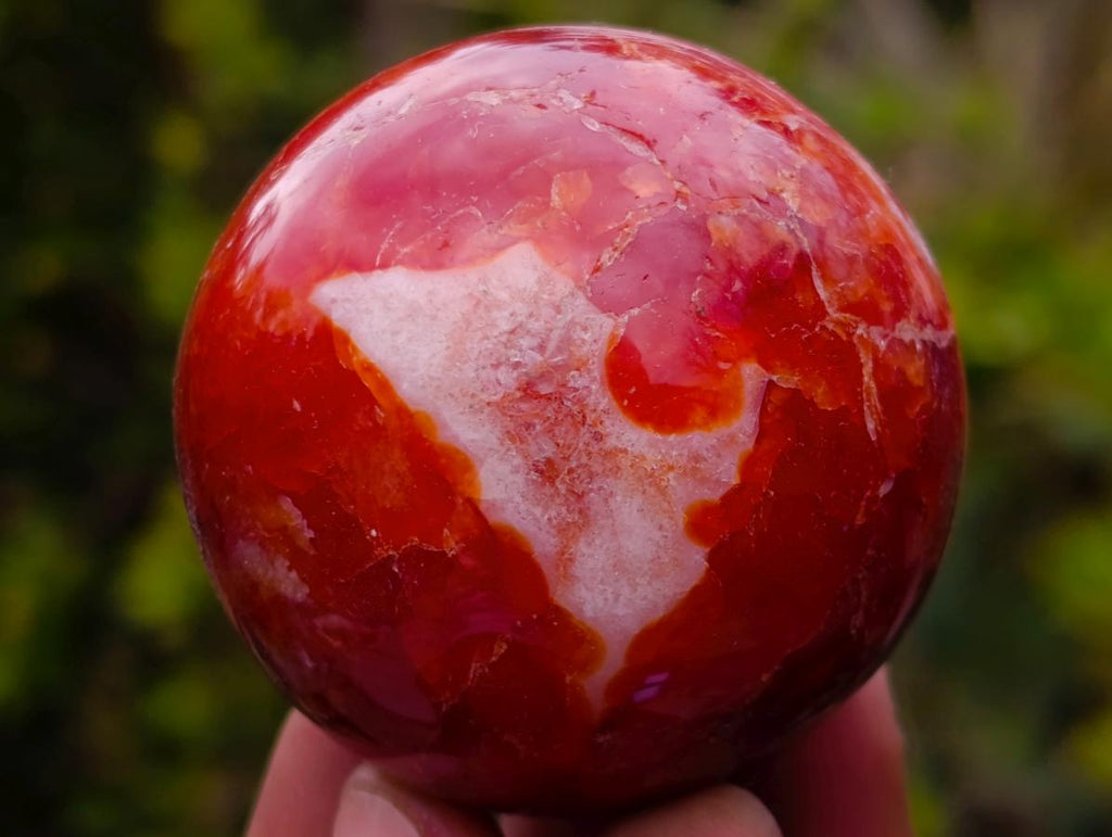 Polished Carnelian Agate Gemstone Spheres x 6 From Madagascar - Toprock Gemstones and Minerals 