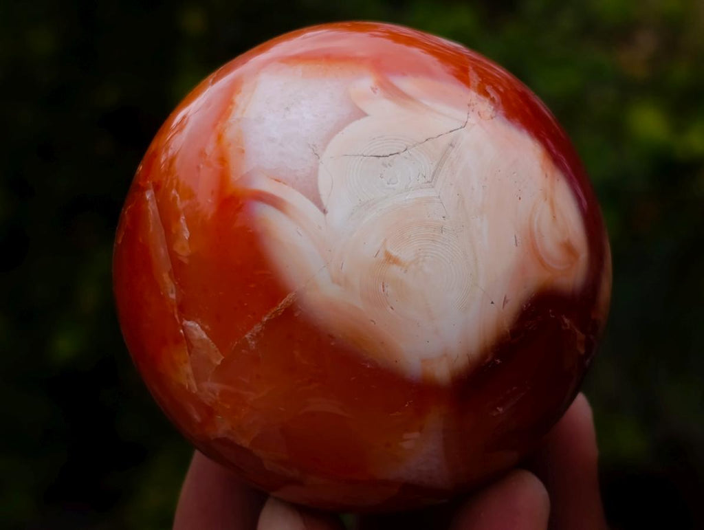 Polished Carnelian Agate Gemstone Spheres x 6 From Madagascar - Toprock Gemstones and Minerals 
